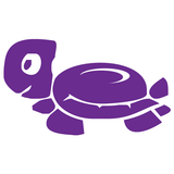 JDM Turtle Sticker-0