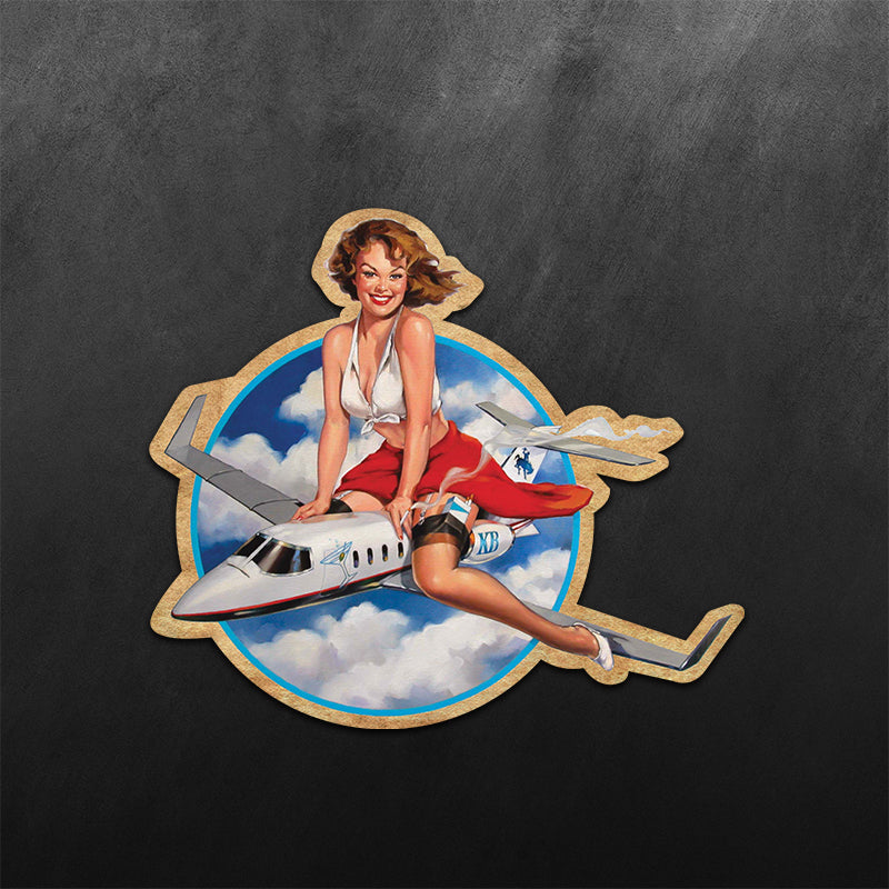 Winston Private Jet PinUp Girl Sticker
