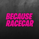 Because Racecar Sticker