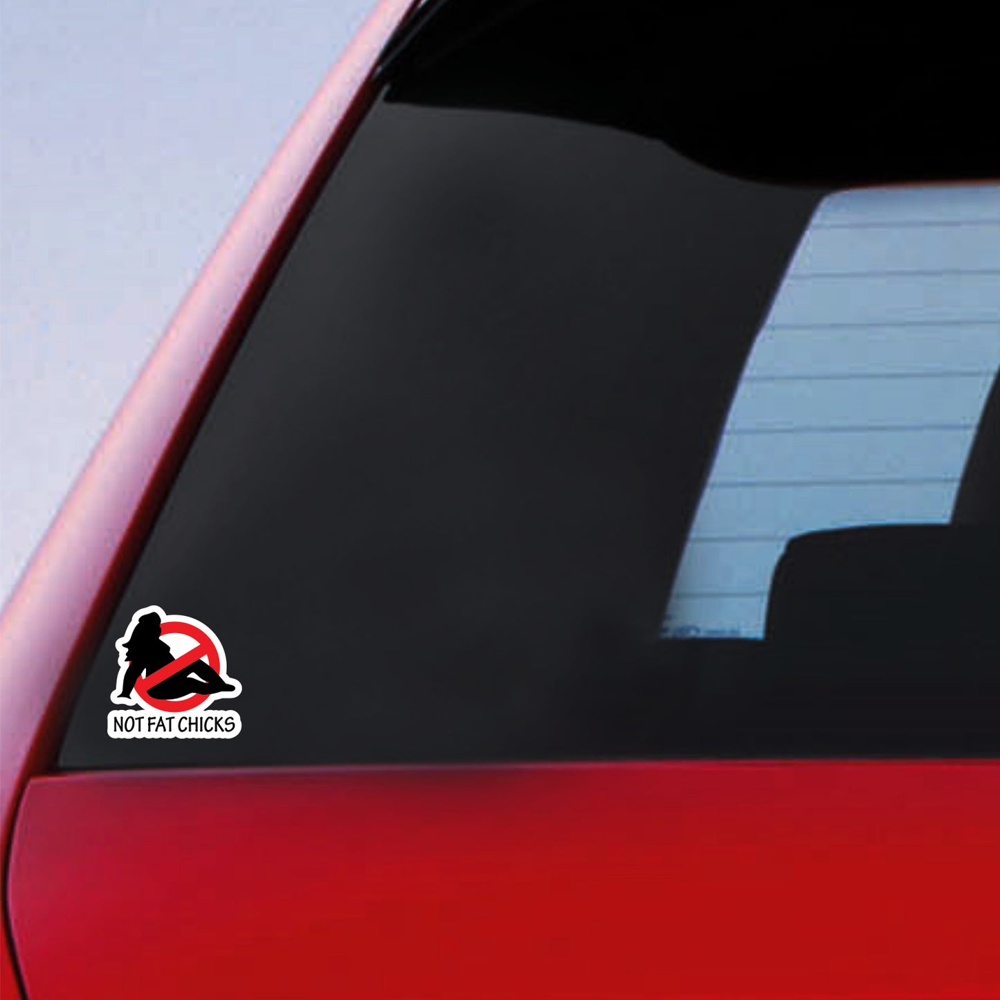 Not Fat Chicks Sticker