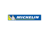 Michelin rectangle Sticker-0